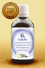 T38 - 6. ČAKRA – Adžňá (působí na smysly - zrak, sluch, čich)