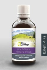 K23 - Lichořeřišnice, hřebíček, badyán (omezuje výskyt bakterií v organismu