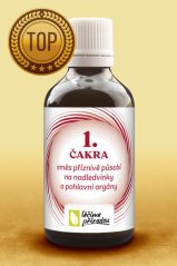 T33 - 1. ČAKRA - Múladhára (působí na nadledvinky a pohlavní orgány)
